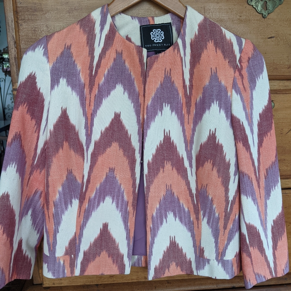 Two Penny Blue Ikat Jacket: one of a kind
